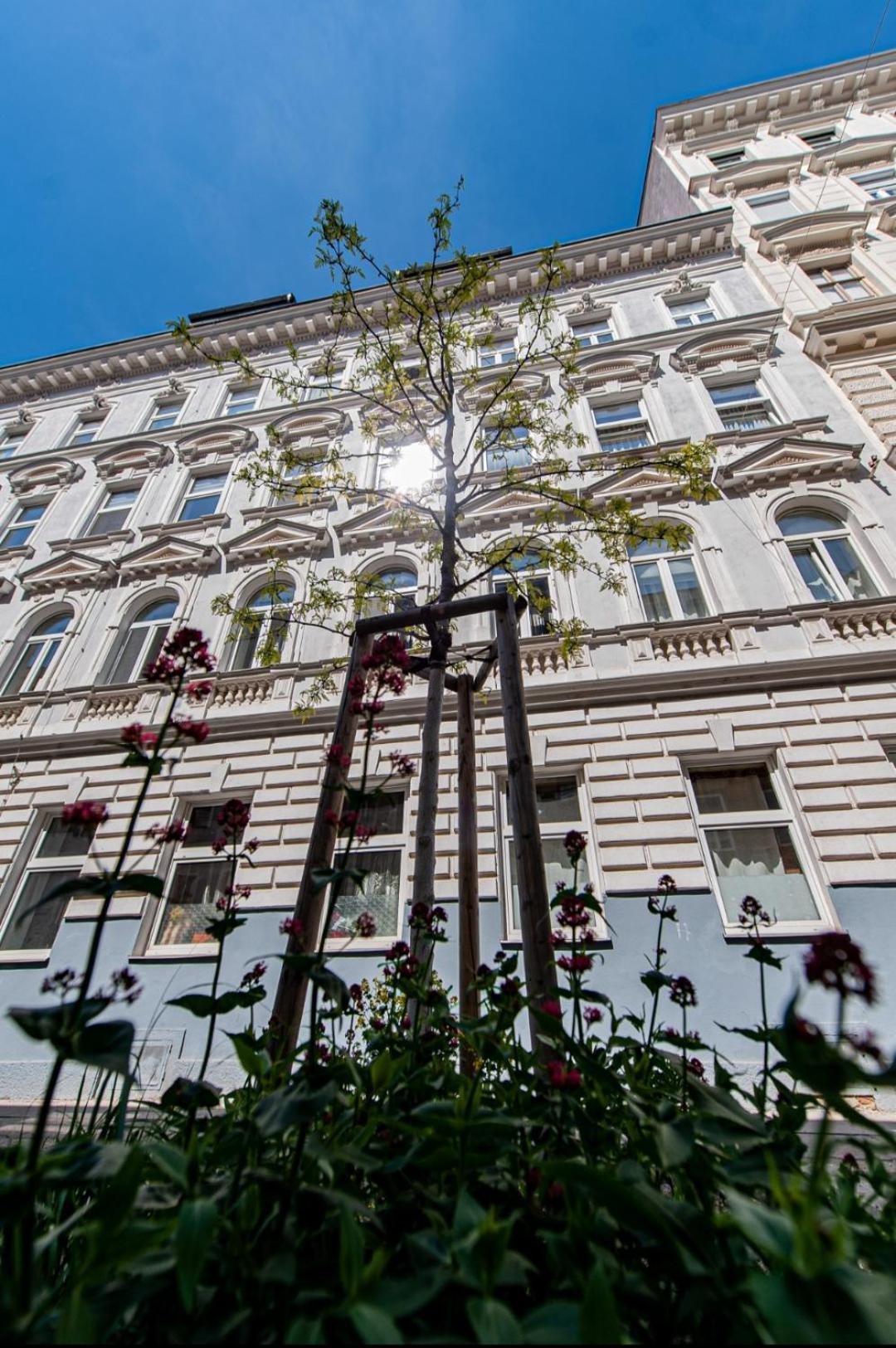 Vienna My City Apartment 2Bedroom Ngoại thất bức ảnh
